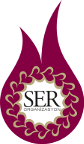 Ser Organizasyon Logo